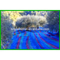 HDPE Agriculture Fruit / Olive Net / Harvest Nets / Colección / Recogida de red